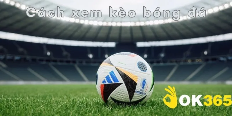 Cách xem kèo bóng đá mang lại lợi ích gì?