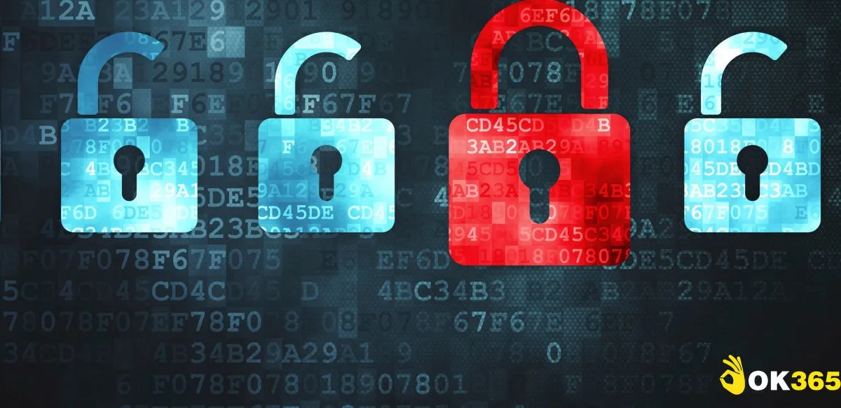 Những quy định quan trọng trong quyền riêng tư Ok365